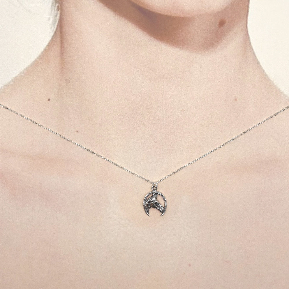 Horseshoe Horse Necklace-0799